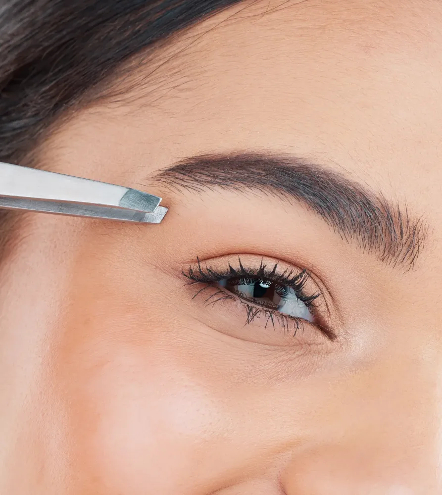 sourcil
