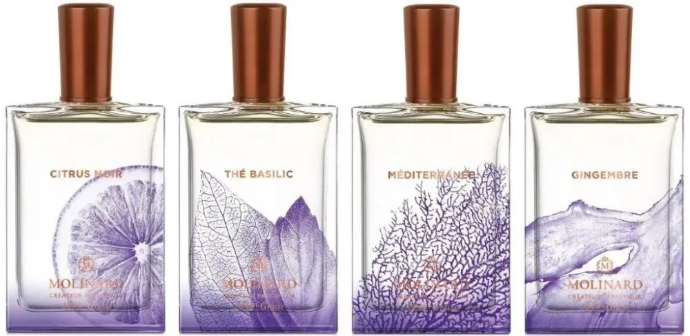 Thé Basilic